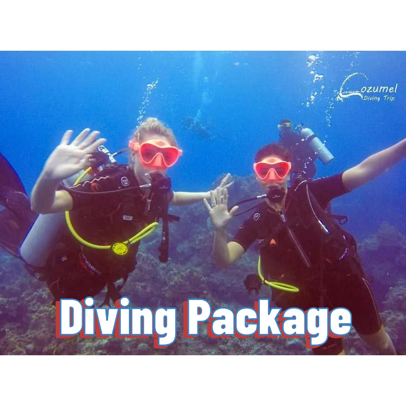 FOR CERTIFIED DIVERS - scuba diving Cozumel / Cozumel dive packages