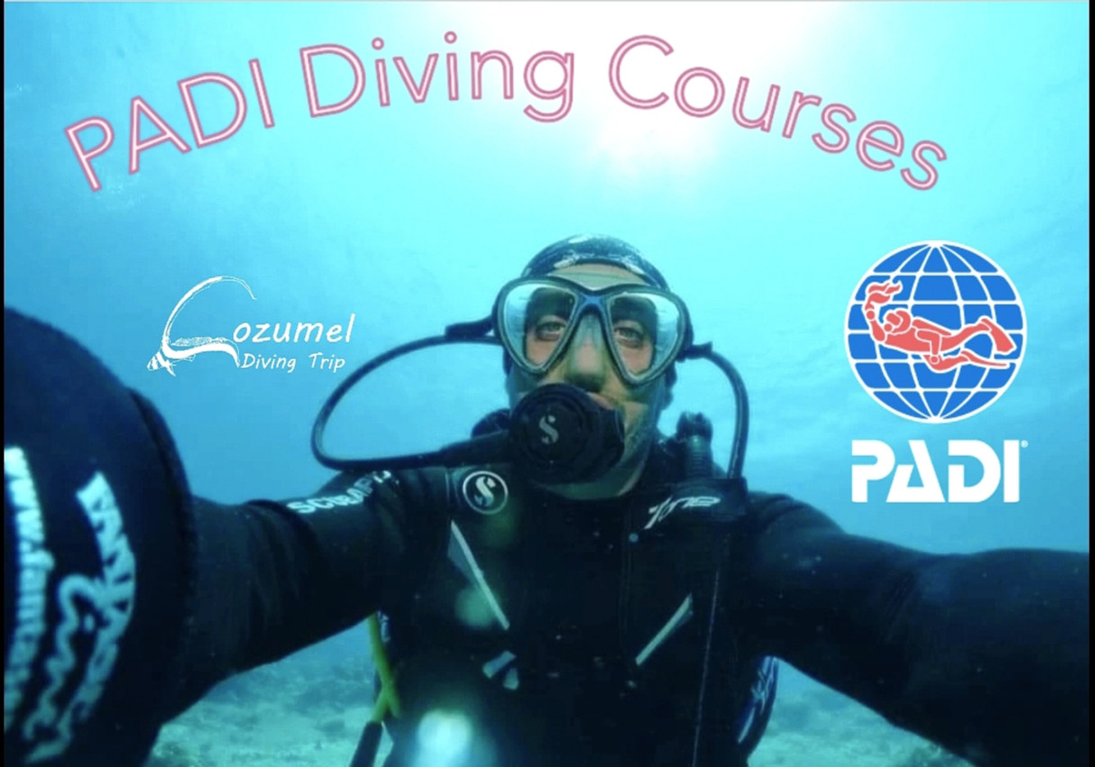 GET CERTIFIED! Cozumel dive certifications: PADI Open Water Diver Cozumel, PADI Advanced Open Water Cozumel, PADI Rescue Diver Cozumel, PADI Divemaster Cozumel