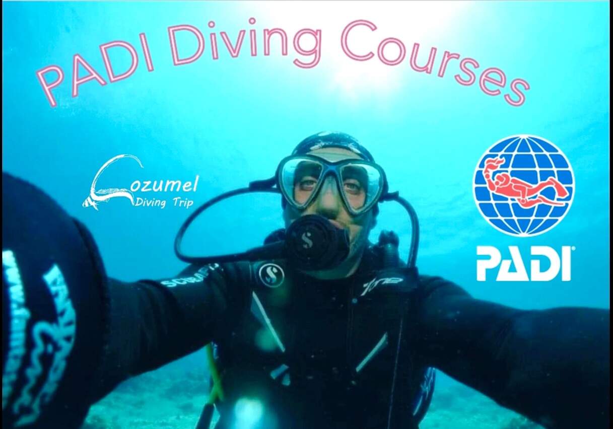 GET CERTIFIED! Cozumel dive certifications: PADI Open Water Diver Cozumel, PADI Advanced Open Water Cozumel, PADI Rescue Diver Cozumel, PADI Divemaster Cozumel